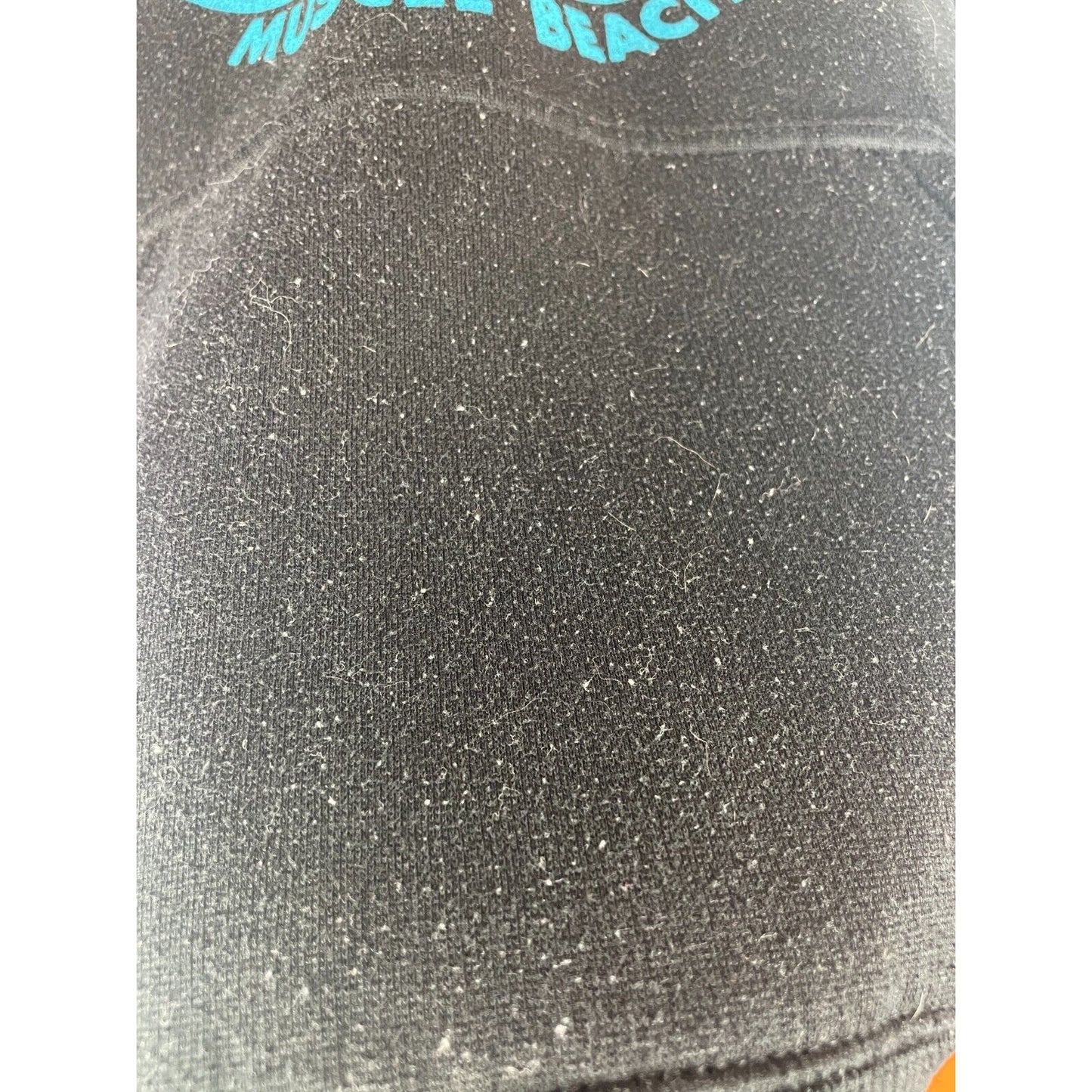 Venice Beach CA Arnold Schwarzenegger Hoodie Black Medium Hill